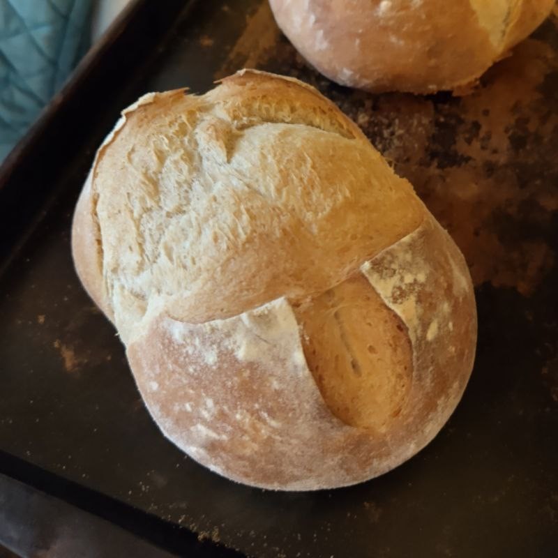 A freshly baked loaf of bread